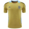 Officiële Voetbalshirt Argentinië Pre-Match 2024 Gele - Heren